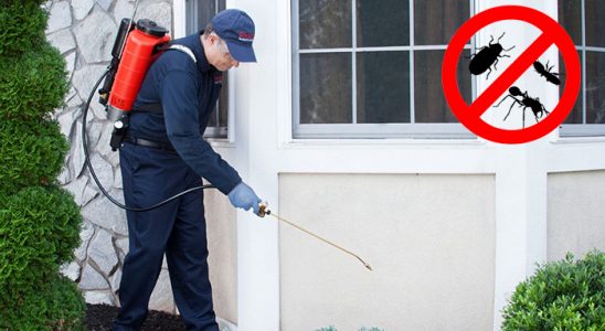 Kadınhanı Tahtakurusu İlaçlama böcek ilaçlama ve haşere kontrolü — ilaclama-tr.com